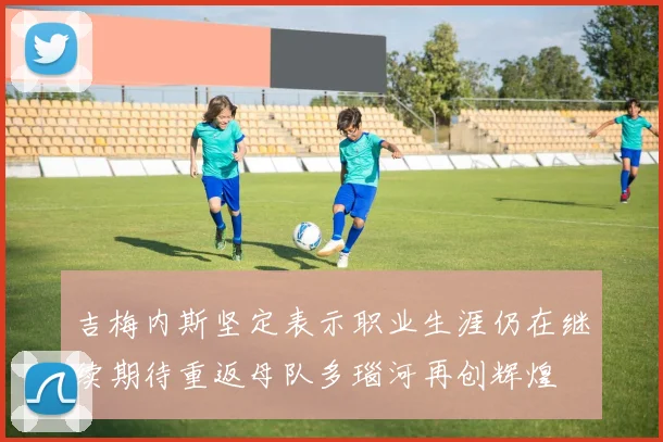 吉梅内斯坚定表示职业生涯仍在继续期待重返母队多瑙河再创辉煌
